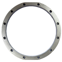 Faema 12 Holes Ring